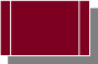 rt_view.png