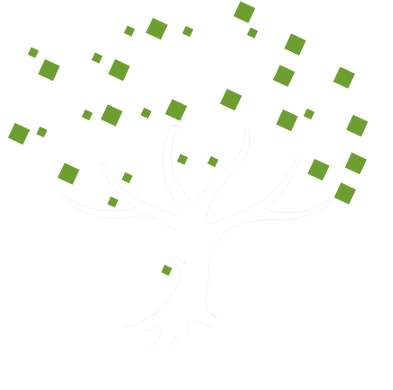 verde.png